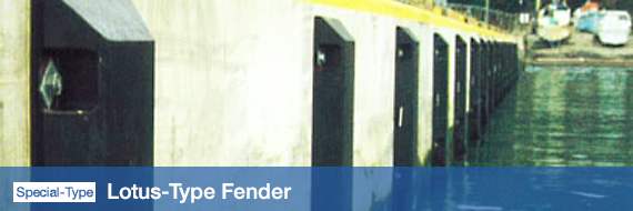 Lotus-Type Fender